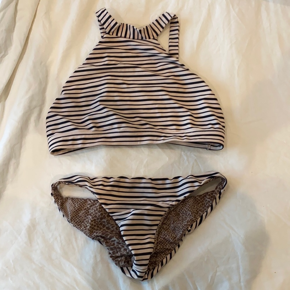 Acacia bikini